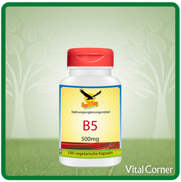 Vitamin B5 a 500mg, 100 veg. Kapseln