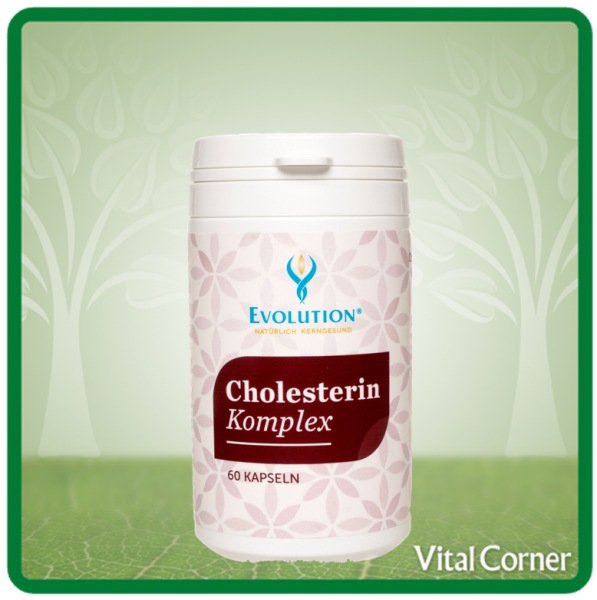 Cholesterin Komplex - 60 Kapseln