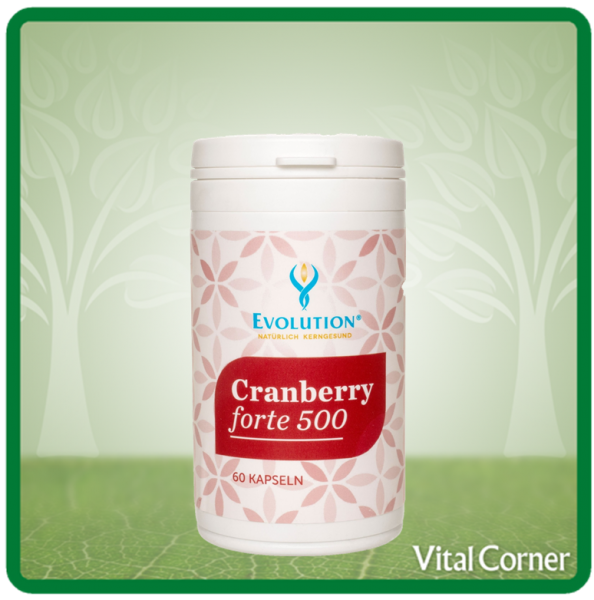 Cranberry forte 500 - 60 Kapseln