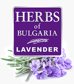 Herbs of Bulgaria - Lavendel